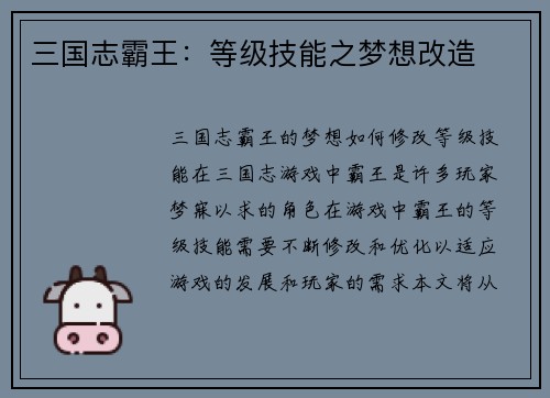三国志霸王：等级技能之梦想改造